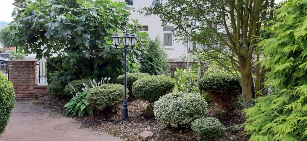 Hotel Carolinenhof Bad Pyrmont Εξωτερικό φωτογραφία